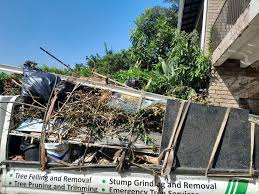 Trusted Gray, GA Junk Removal Services Experts